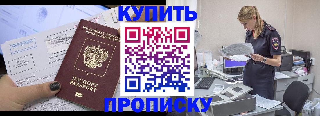 временная регистрация поиск в Каменке